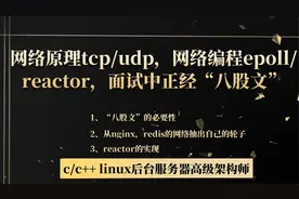 网络原理tcp/udp，网络编程epoll/reactor，面试中正经“八股文”视频封面