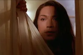 【蝴蝶君】人生如梦如戏，20年后才发现风情万种的妻子是男人视频封面