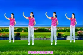 经典天籁DJ广场舞《走天涯》动感32步附分解，优美好学