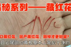 揭秘系列——藏红花：国产藏红花、进口藏红花哪种更好呢？视频封面