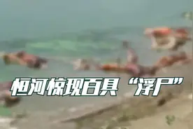 场景凄惨！恒河已现百具“浮尸”：遭野狗啃食，印度无奈设网拦截视频封面