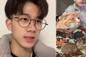 假期无人照顾，小甘将猫咪送去朋友家寄养，网友却说好男不养猫