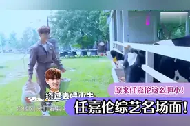 任嘉伦综艺搞笑名场面，喂大黑牛这段也太逗了，喝奶就没怕过谁！视频封面