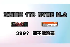 京东自营399价格1TB NVME M.2的固态能不能购买 是碰碰车还是神车视频封面