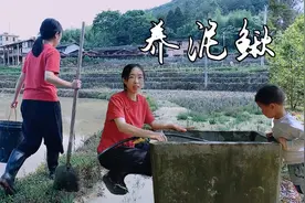 在一个大水泥缸里，养殖30条泥鳅，用这种方法靠谱吗？视频封面