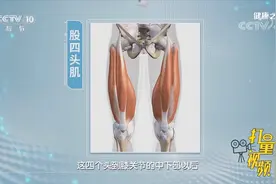 锻炼股四头肌有利于膝关节的康复，专家教你锻炼方法|健康之路视频封面
