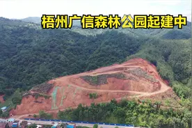 广信森林公园4K视频封面