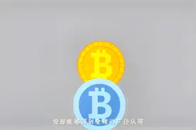 【趣味科普】比特币和qb有哪些不同视频封面