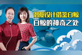 潜艇仿生学设计多重要，白鲸也是重要参考者，它的身体有多神奇视频封面