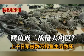 恶有鳄报！千名日军被鳄鱼吃光？日本官方：绝无此事，吃的是尸体视频封面