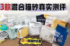 13款混合猫砂真实测评.上（双十一囤货必看）视频封面