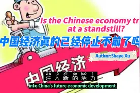 中国经济发展：挑战与机遇并存 China's Economic Development视频封面
