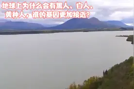地球上为什么会有黑人、白人、黄种人，谁的基因更加接近？视频封面