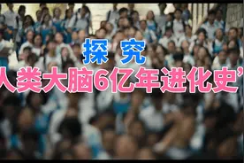 探究“人类大脑6亿年进化史”！视频封面