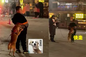 福建狗子害怕鞭炮，全程躲在小主人身后！网友：它真的又怂又可爱视频封面
