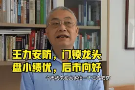 王力安防，门锁行业龙头，盘小绩优，走势向好视频封面