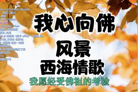老歌老歌走你！你们你们进来哈哈！视频封面