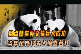 盘点熊猫外交获巨大成功，当年尼克松夫人惊喜若狂视频封面