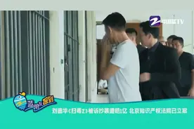 刘德华被诉抄袭遭赔1亿 北京知识产权法院已立案