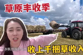 内蒙草原大丰收季，老爸牧场开车收草，上千捆草卖价高收入上万视频封面