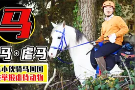骑马=虐待动物？山东小伙骑马回国，被荷兰人送进警局视频封面