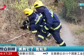 赣州：菜地边惊现大蟒蛇视频封面