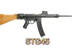 STG45-滚柱延迟闭锁 不一样的风暴步枪视频封面