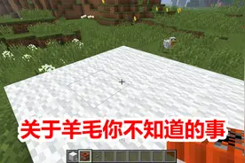 我的世界：关于羊毛那些你不知道的秘密