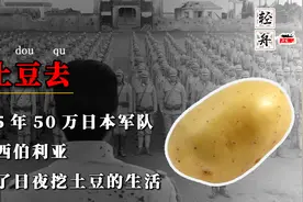 1945年，50万日本军队挺进西伯利亚，过起了日夜挖土豆的生活视频封面