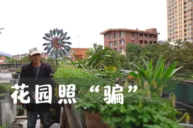 花园照“骗”，全是拼凑出来的，教你如何拍出大神级别效果的花园视频封面