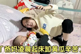 静静给妈妈视频聊天，爸妈凌晨起床卸黄瓜，为了生活爸妈辛苦了视频封面