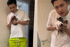 男子醉酒后捡回三只小奶猫，抱着猫咪自称是它们妈妈，酒醒后懵了视频封面