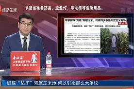 脚踩“垫子”观摩玉米地 何以引来那么大争议视频封面