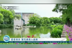 五月时节花开成海！常州夏意渐浓，十万株鸢尾花摇曳生姿！视频封面