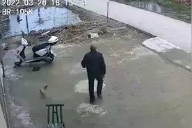 七旬老人步履蹒跚跳入河中救落水儿童 获奖励现金1万元视频封面