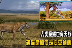 人类到底有没有天敌？几百万年前有过，但没熬过来就已经灭绝了视频封面