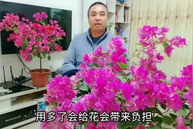 给花施肥浓度把握不准？一小勺是多少克？电子天平告诉你真像！视频封面