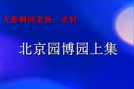 第九届中国国际园林博览会的举办地，位于北京市丰台区永定河西岸视频封面