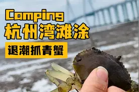 上海周边赶海，嘉兴本地人私藏宝地，免费海边烧烤，石蟹青蟹超多