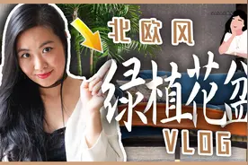 🌹如何给你的绿植搭配花盆让你的家更美呢？北欧风家居装饰布置视频封面