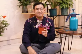 油画吊兰怎么养？园艺师教你，油画吊兰的详细养护技巧视频封面
