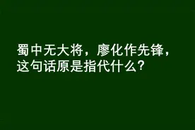 蜀中无大将，廖化作先锋，这句话原本指的是什么？视频封面