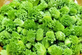 大葱花苞是个宝，丢掉太可惜，教你好吃做法，好多人没吃过，真香视频封面