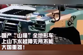 国产“山猫”全地形车，上山下水越障无所不能，大国重器！视频封面