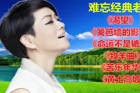 毛阿敏歌曲精选《渴望》《篱笆墙的影子》《命运不是辘轳》奉献视频封面