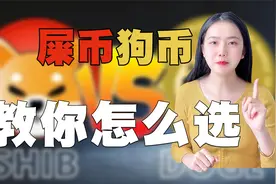 “狗币”与“屎币”视频封面
