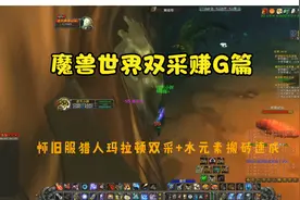 魔兽世界怀旧服LRMLD双采+水元素，曰入千G不是梦，速成搬砖