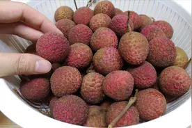 荔枝买多了怕浪费，今天终于学会怎么存放，清甜不上火，两月不坏