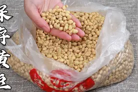 黄豆容易长虫发霉，干货店老板教我的保存方法，放一年都不会坏视频封面