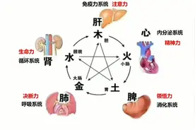 五行对应五脏的详细讲解视频封面